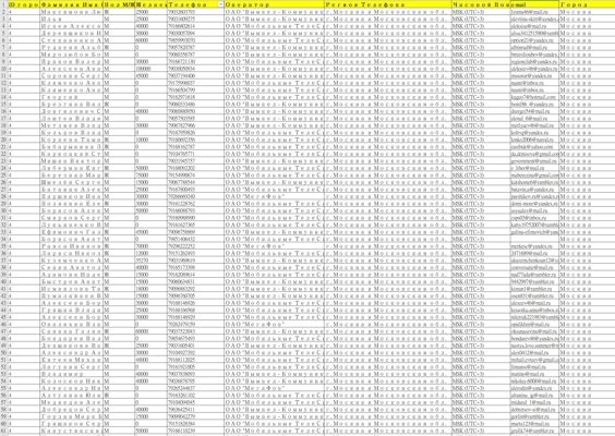 俄罗斯退休老人