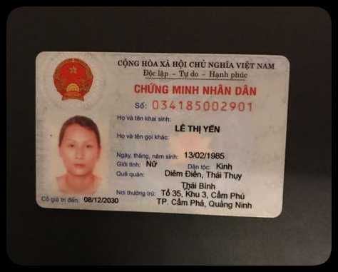 越南身份证正反+自拍200套