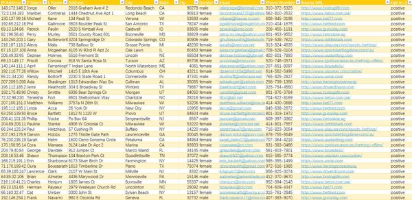 美国2025年最新赌徒数据500条