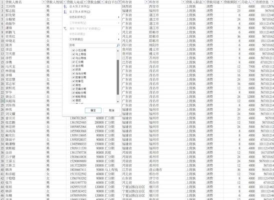 国内大额贷款数据