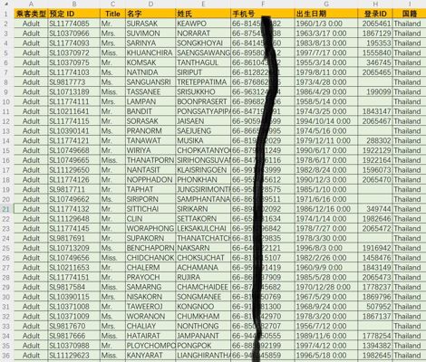 泰国航空乘客15万条，泰国飞机头等舱VIP客户