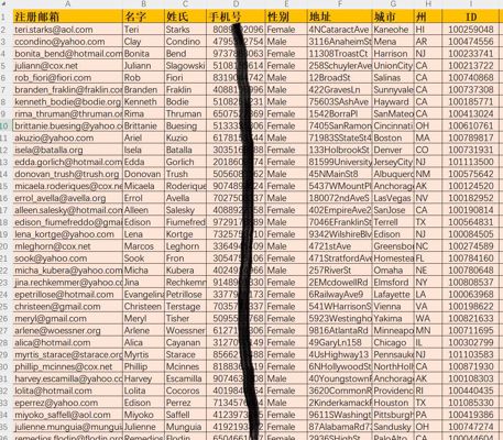 美国黄金投资客户11w