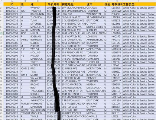 加拿大白领16w，加拿大经理领导投资客户