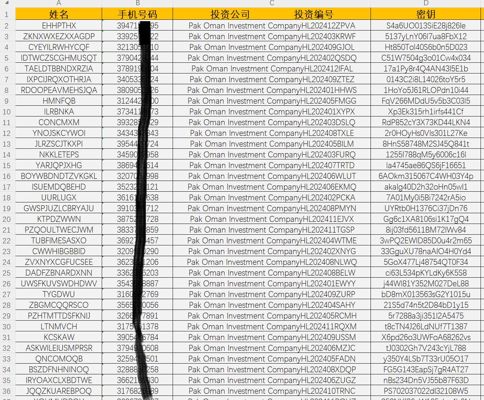 巴基斯坦投资客户15万条，金融投资理财