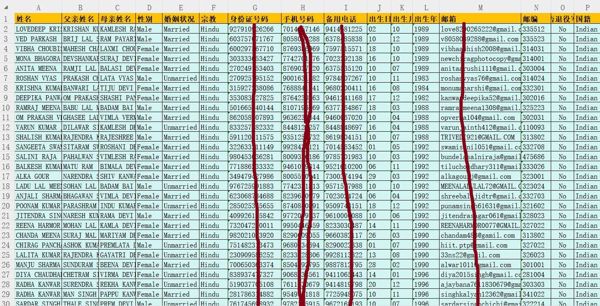 印度教师97万条，印度稳定收入人群，印度老师