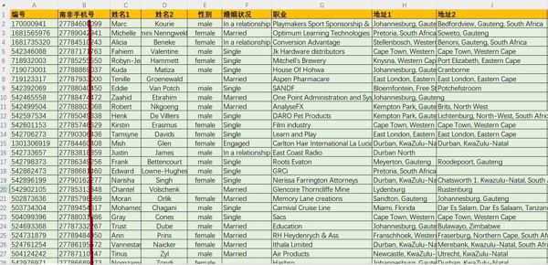 南非企业高管白领16万条，南非高收入人群