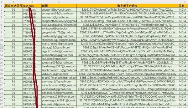 印度数字币币圈8万条，印度虚拟币交易所客户
