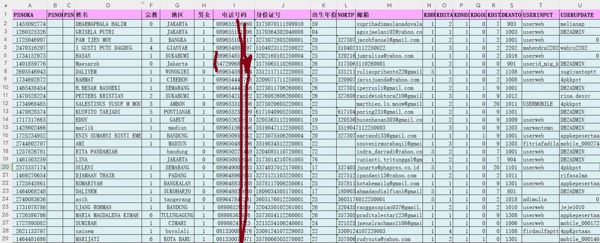 印尼富人投资理财3.3万条，印度尼西亚有钱人带身份证号