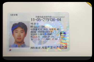 韩国驾照正反+自拍24套