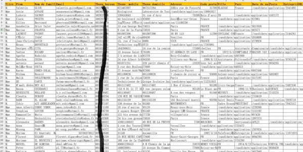 法国招聘工作猎头30W profil-search.fr