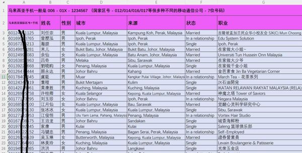 马来西亚华人华侨6万条，第二批，贪官子女富二代，马来西亚华人华侨富人