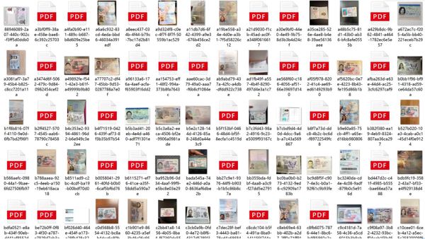 新发：500个欧洲美国西方国家的护照照片和身份证照片