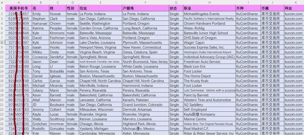 美国币圈库币数字币9.5万条，美国虚拟币投资，金融富人