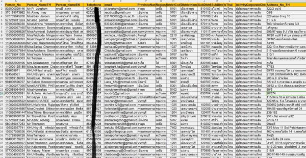泰国贸易企业6万条，泰国公司老板