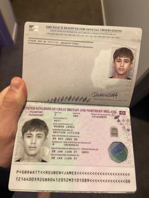 英国护照+自拍118套