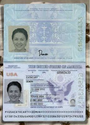 美国护照+银行对账单120套