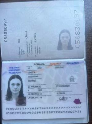 罗马尼亚护照+手持28套