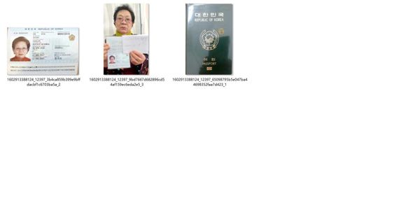 精选【手持韩国护照16份】+【手持韩国驾照8份】手持白纸韩国手持驾照KYC认证资料韩国驾驶证