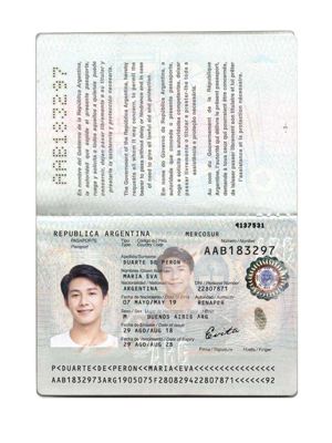 阿根廷KYC认证素材模板，包含：护照、驾照、地址证明