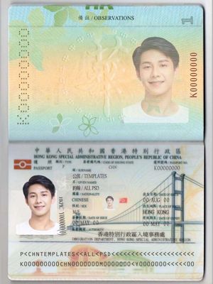 香港KYC认证素材模板，包含：护照、身份证、地址证明