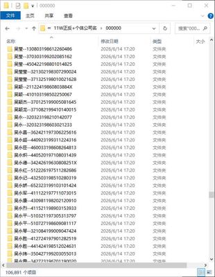 正反+个体执照