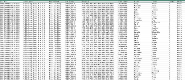 26/7/8最新提取_美国银行富人_富国银行WellsFargo高级大额账户38万条_纯女性