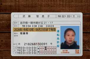 日本驾驶证正反+手持100套