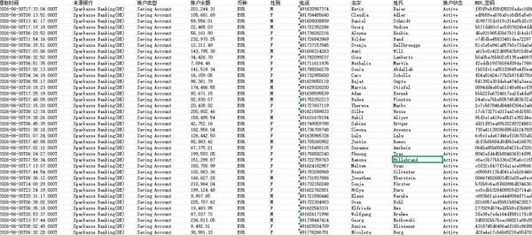 26/6/30渗透提取_德国银行Sparkasse大额储蓄账户数据64万条_新数据含余额_德国股票金融