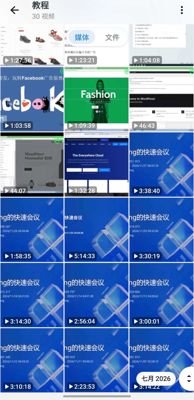 laolong2d，纹身2d无c，联盟，fb余额，电商钓鱼