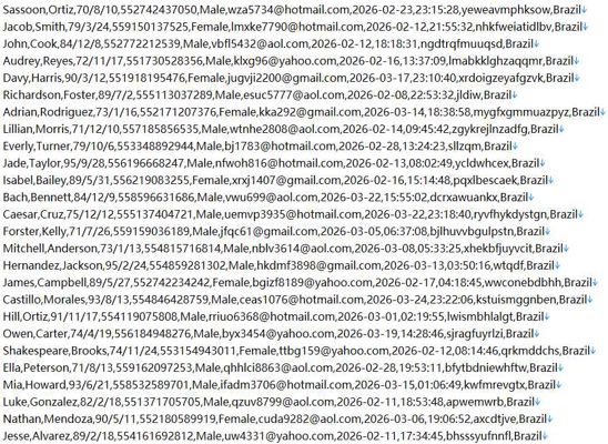 巴西银行贷款官网578w用户数据资料‑cetelem.com.br‑