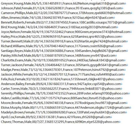 法国 httpswww.hotels-emeraude.com 区域酒店官网506w
