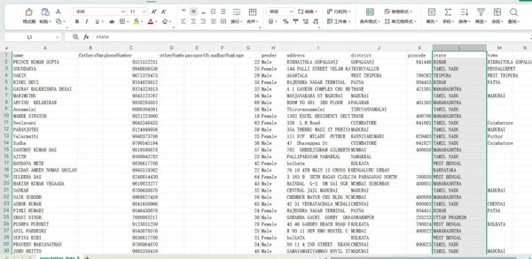 name phoneNumber age gender address district pincode state town