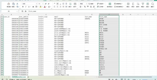 user_id 用户__手机 忠诚度类型 电子邮件 姓氏 名字