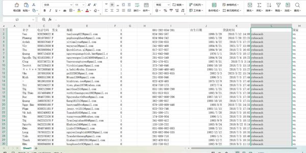 越南贷款金融平台vietloan总共104万条 名字电话号码男女邮箱出生日期贷款时间还款日期国家