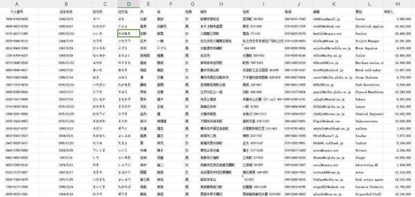 个人番号 出生日期 名字 性别 城市 住所 电话 邮箱职位收入
