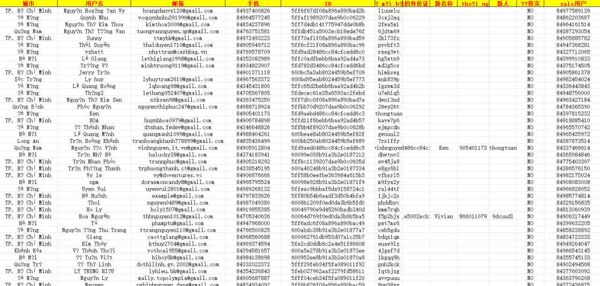 越南SELLY电商购物消费-25万