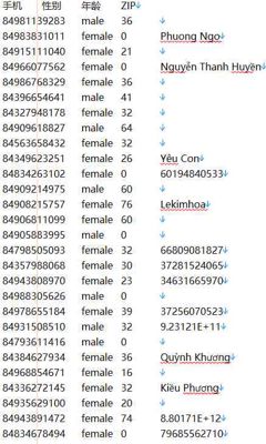 越南ZALO带性别年龄手机-234万