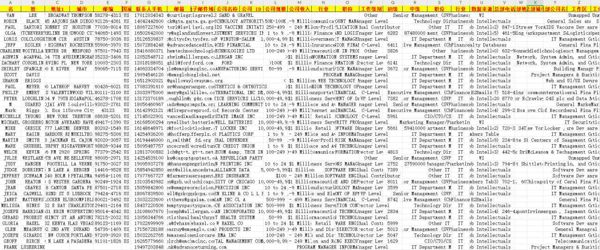 美国公司高薪高管户籍-53万