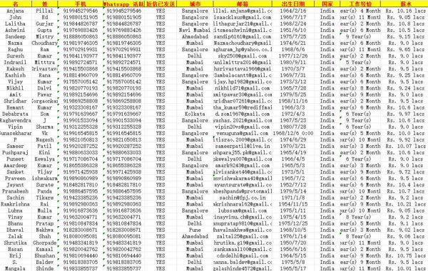 印度高收入高薪高管-41万带WS