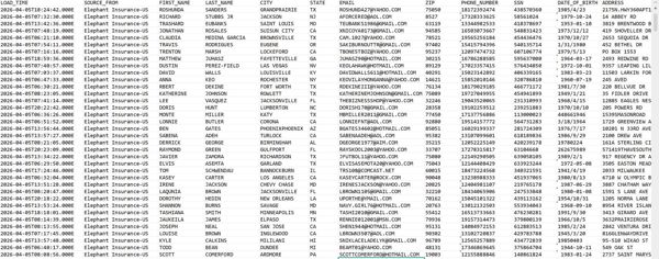 26年首发/美国保险/美国金融/大象保险公司优质用户30万条含SSN/年龄等信息如图