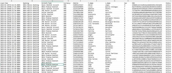 26年新库首发/墨西哥股票/墨西哥银行/墨西哥富人/BBVA银行本外币精选账户35万条/已筛有效