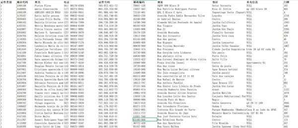 首发新库-巴西个人证号详细信息13万条-含地址门牌等字段-如图所示