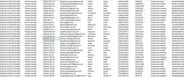 年度首发-美国股票嘉信理财Schwab股票经纪账户精选数据90万条含余额等字段-如图所示