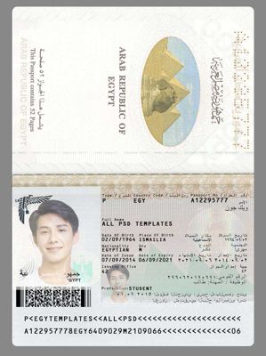 埃及KYC认证素材模板，包含：护照/Passport