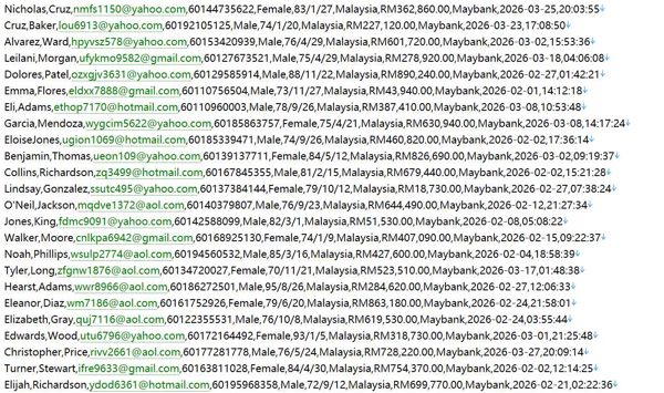 马来西亚 httpswww.malaysia.gov.my 政府医社保综合门户526w