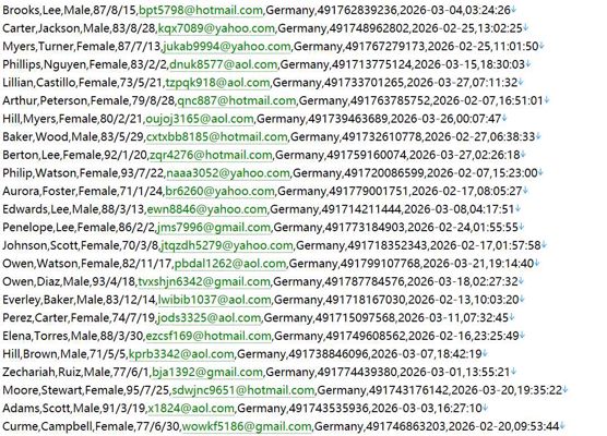 德国 httpswww.gkv-spitzenverband.de 医保统筹官网508w
