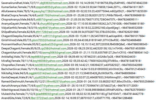 伊拉克 国家卫生部公立医保主管官网532w用户数据资料httpswww.moh.gov.iq