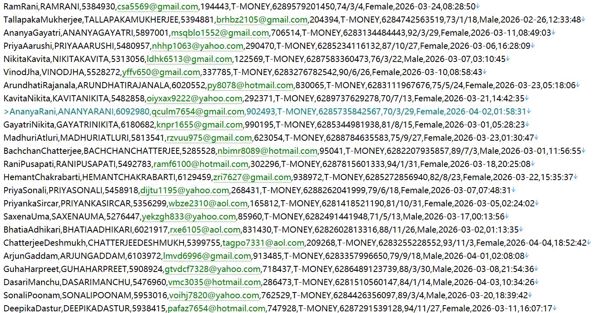 印度尼西亚 httpsbkpmri.id 投资部政务资讯网站 508w
