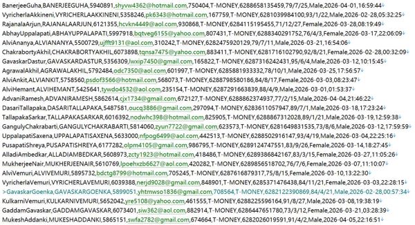 印度尼西亚高端设计师时尚500w用户数据资料 httpswww.masarishop.com