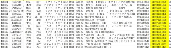 日本网购数据2000条